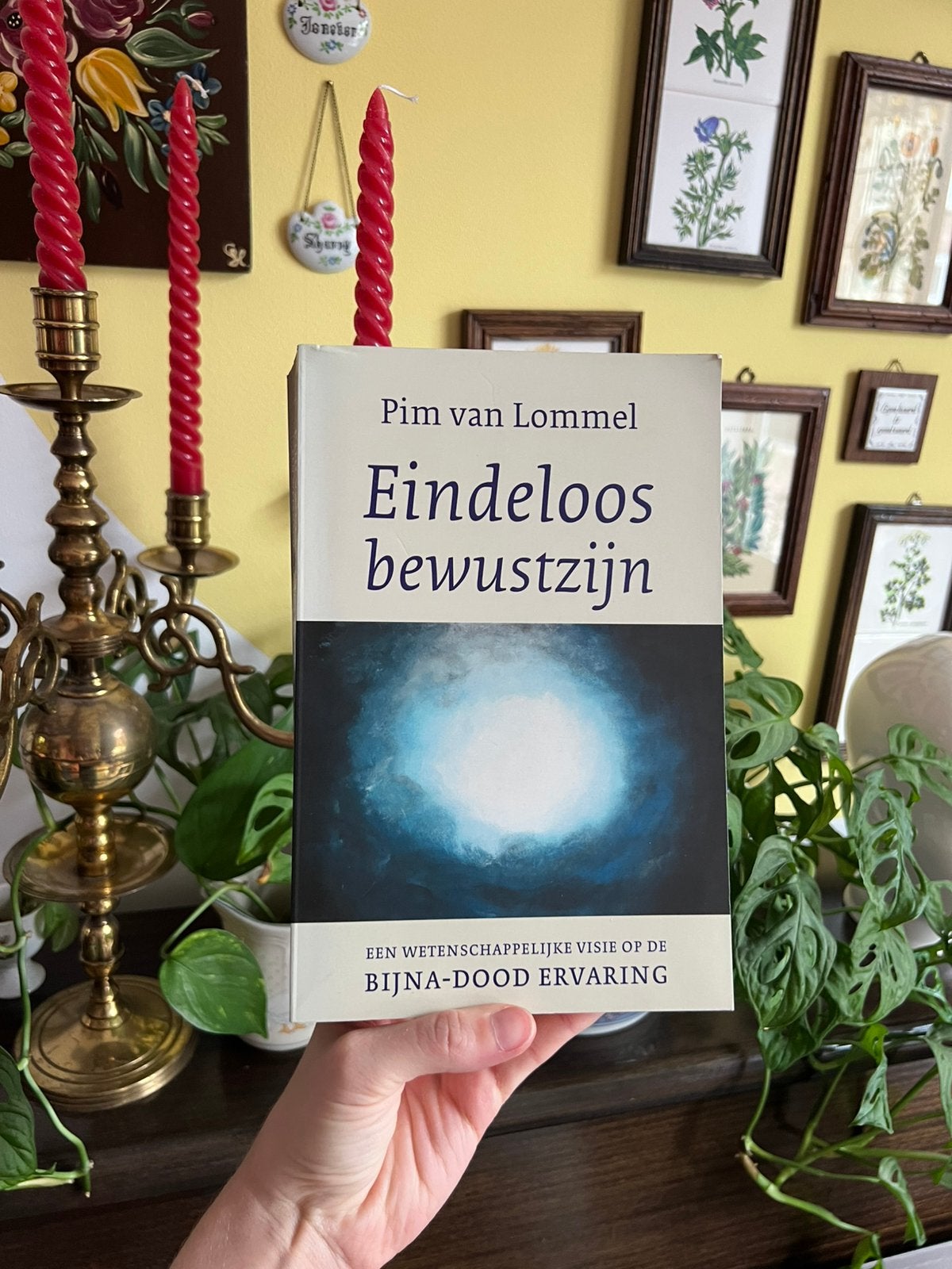 Nieuw! Eindeloos bewustzijn door Pim van Lommel, Ophalen of Verzenden, Nieuw, Pim van Lommel, Esoterie en Spiritualiteit