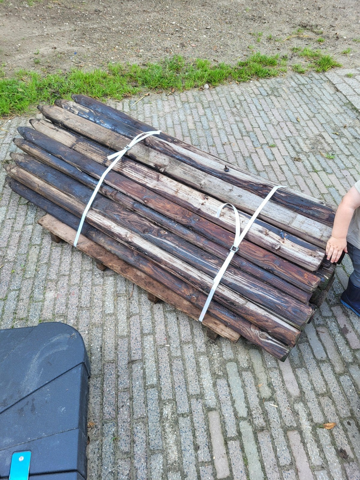 weidepalen