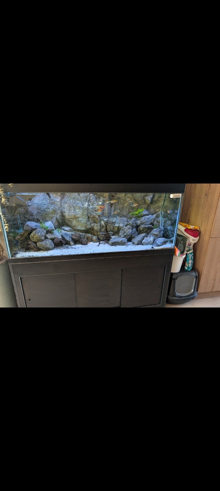 aquarium  160x60x60, Ophalen, Inclusief vissen, Gebruikt, Aquariummeubel
