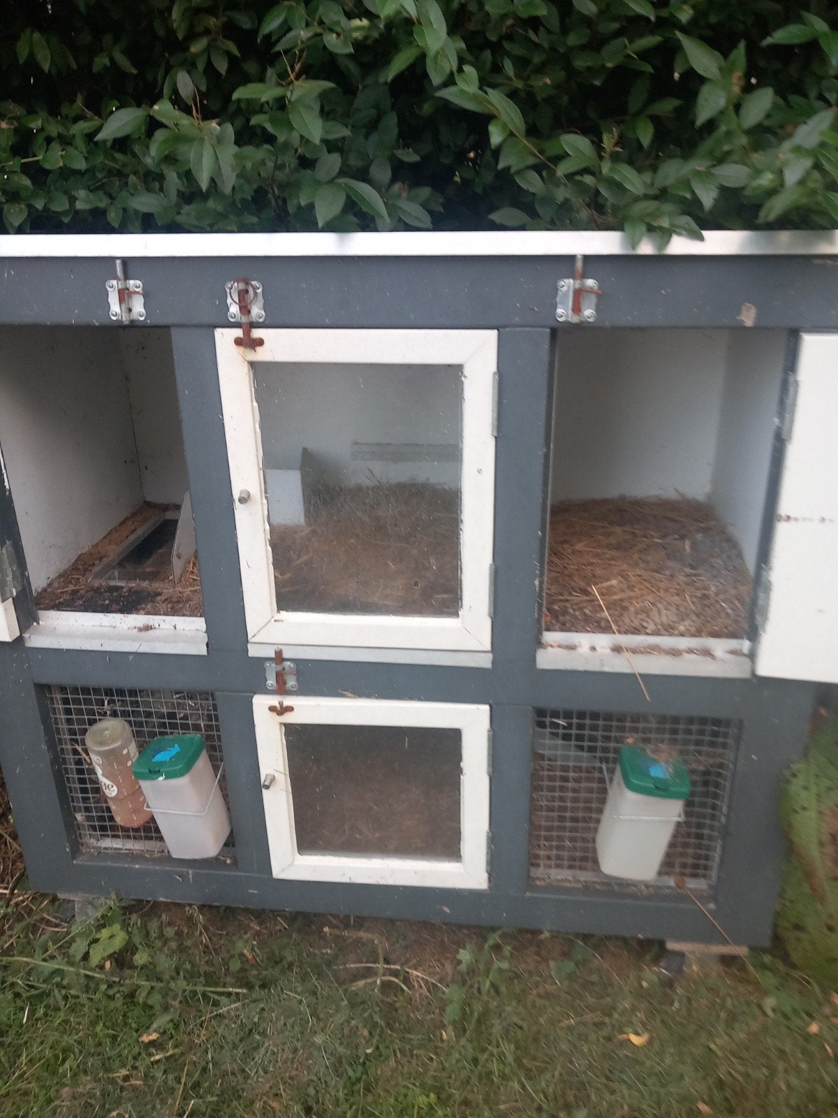 konijnenhok buiten cavia hok HOK konijn, Ophalen, 90 cm of meer, Konijn, Hok