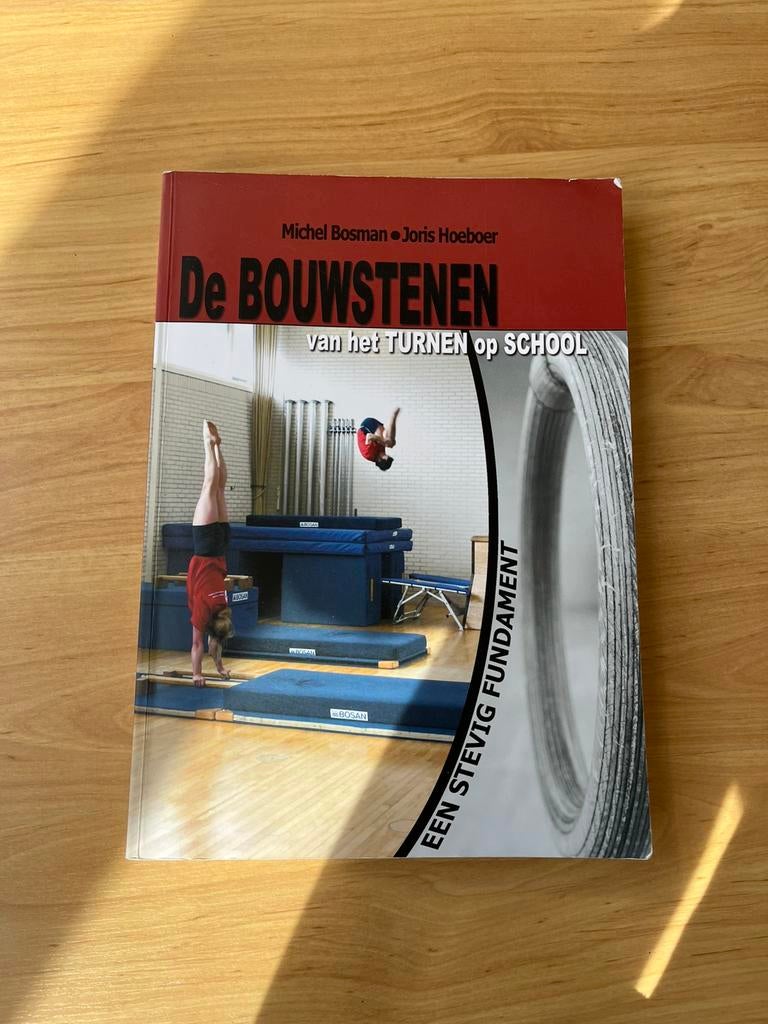 De bouwstenen van het turnen op school, Boeken, Ophalen of Verzenden, Zo goed als nieuw, Overige niveaus