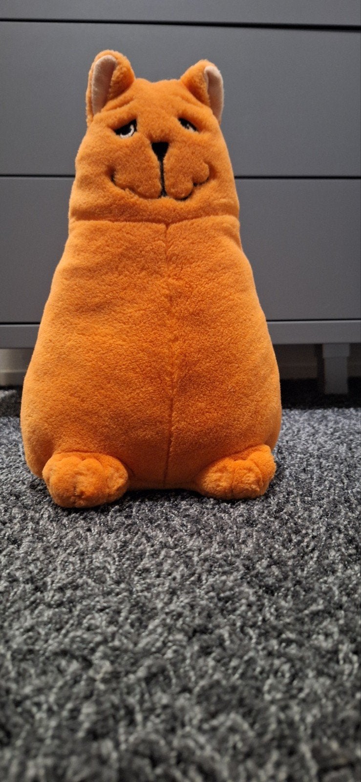 Rode Kater Jan, Jans en de Kinderen - Knuffel, Kinderen en Baby's, Speelgoed | Knuffels en Pluche, Oranje, Gebruikt, Overige karakters