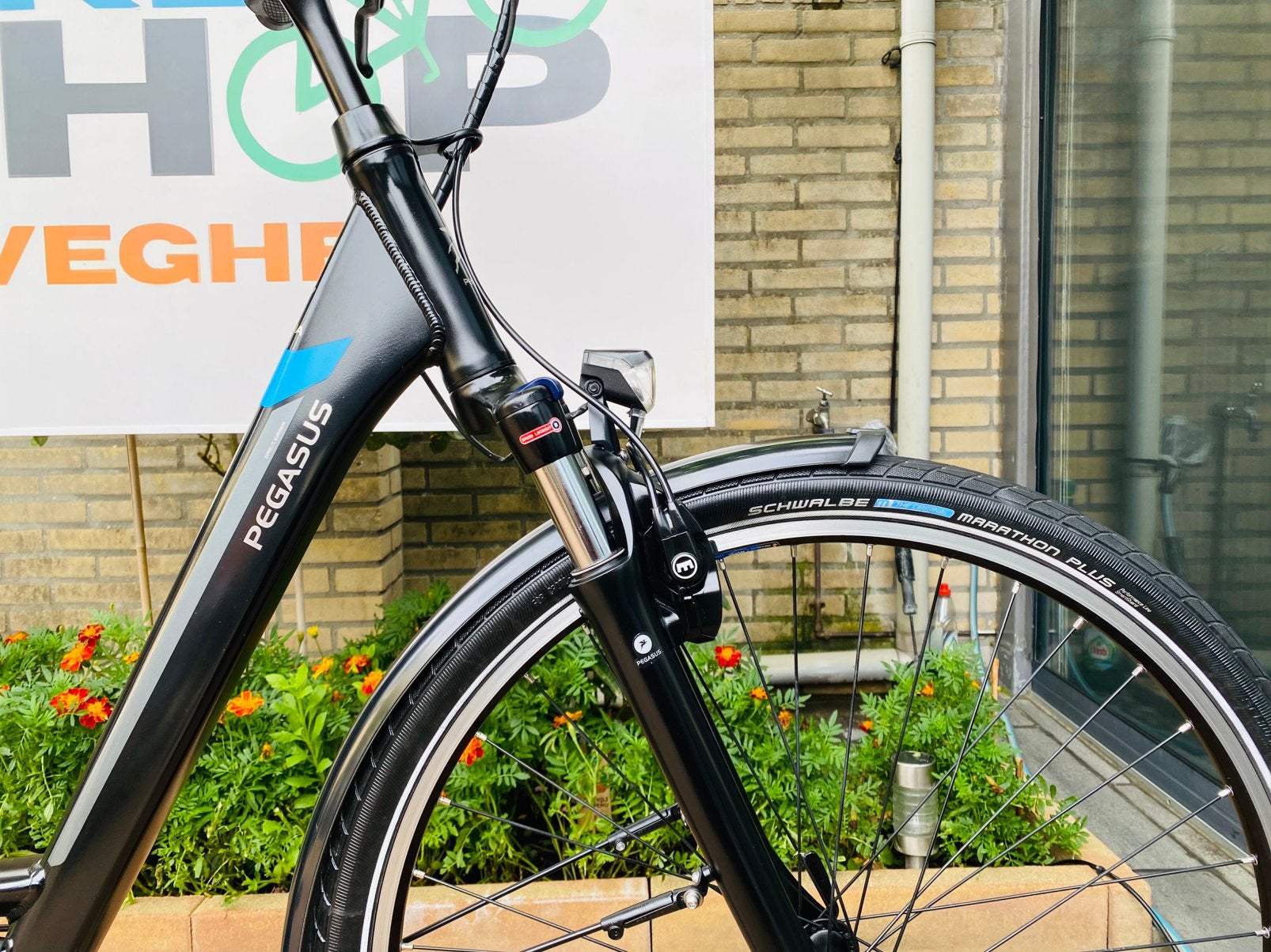 Elektrische Pegasus Bosch Middenmoto Active Line Plus.D55, 53 tot 56 cm, Ophalen of Verzenden, Zo goed als nieuw, 5467kc