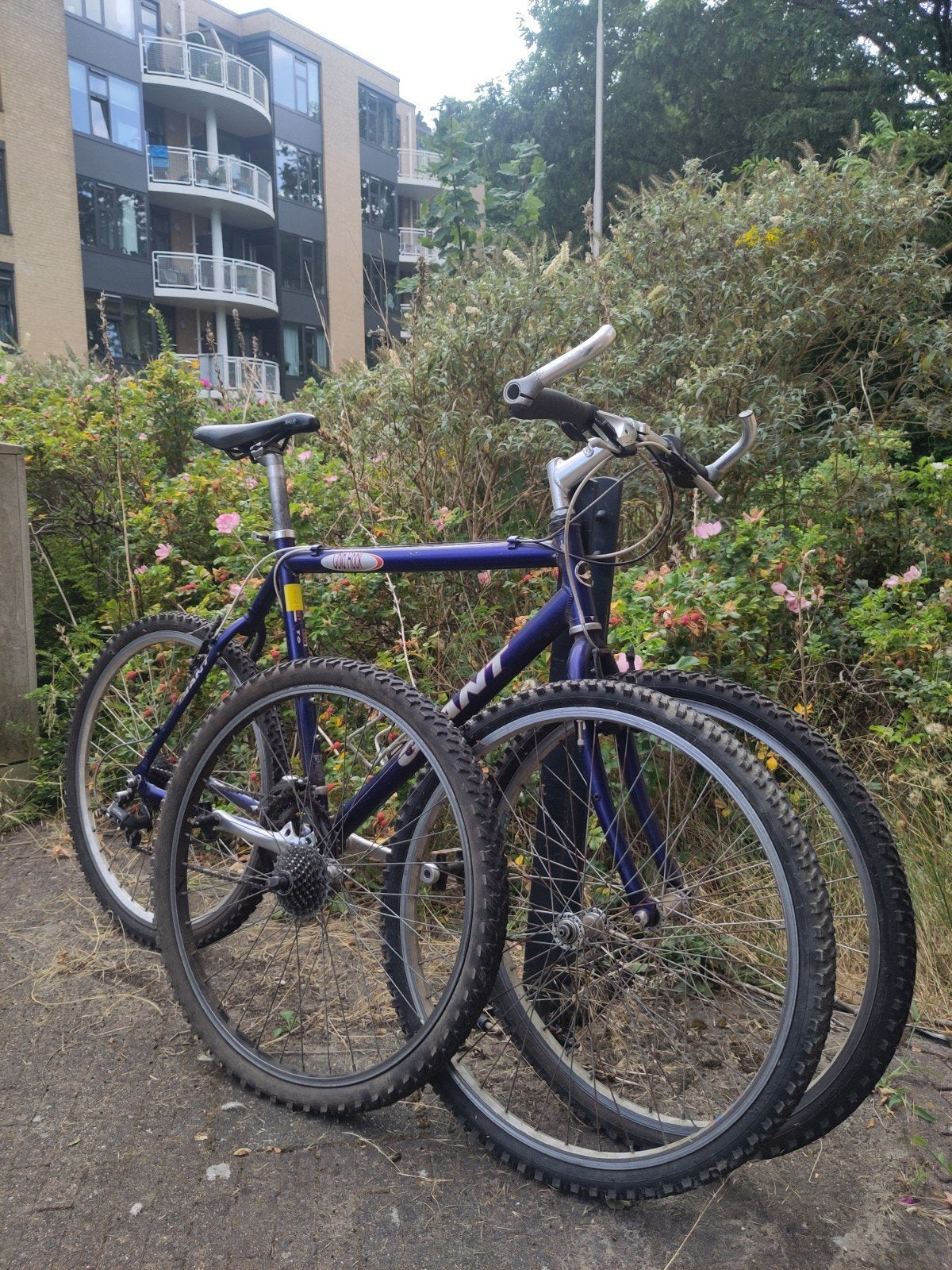 Giant mountainbike, Fietsen en Brommers, Gebruikt, 26 inch, Meer dan 20 versnellingen, Giant