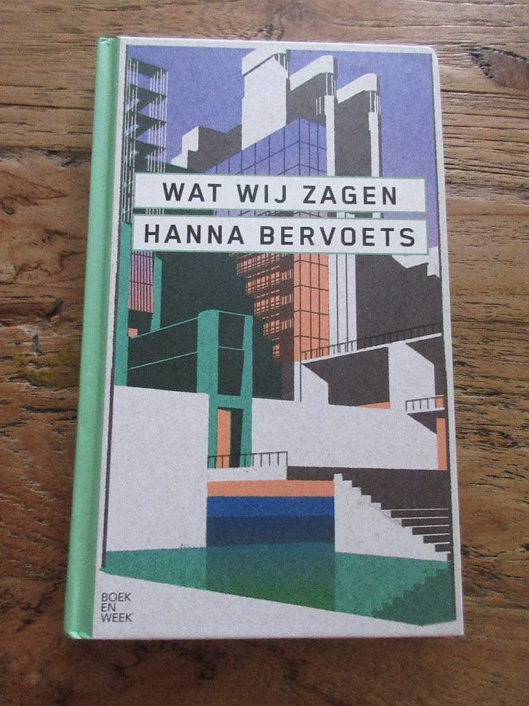 Wat wij zagen. Hanna Bervoets, Ophalen of Verzenden, Zo goed als nieuw, Hanna Bervoets