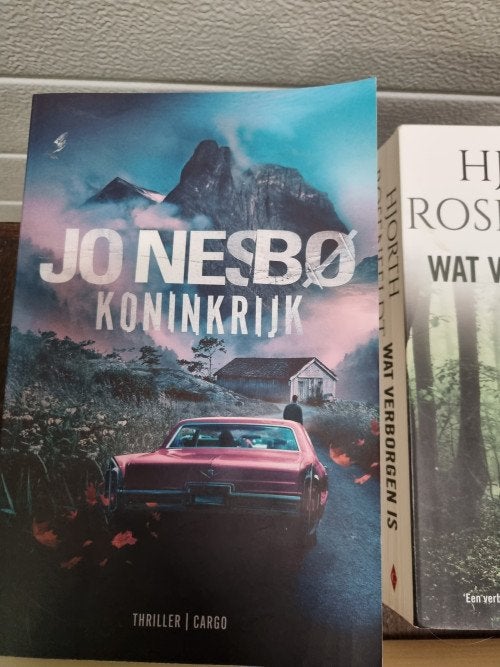 -	boeken thrillers twee stuks, Ophalen of Verzenden