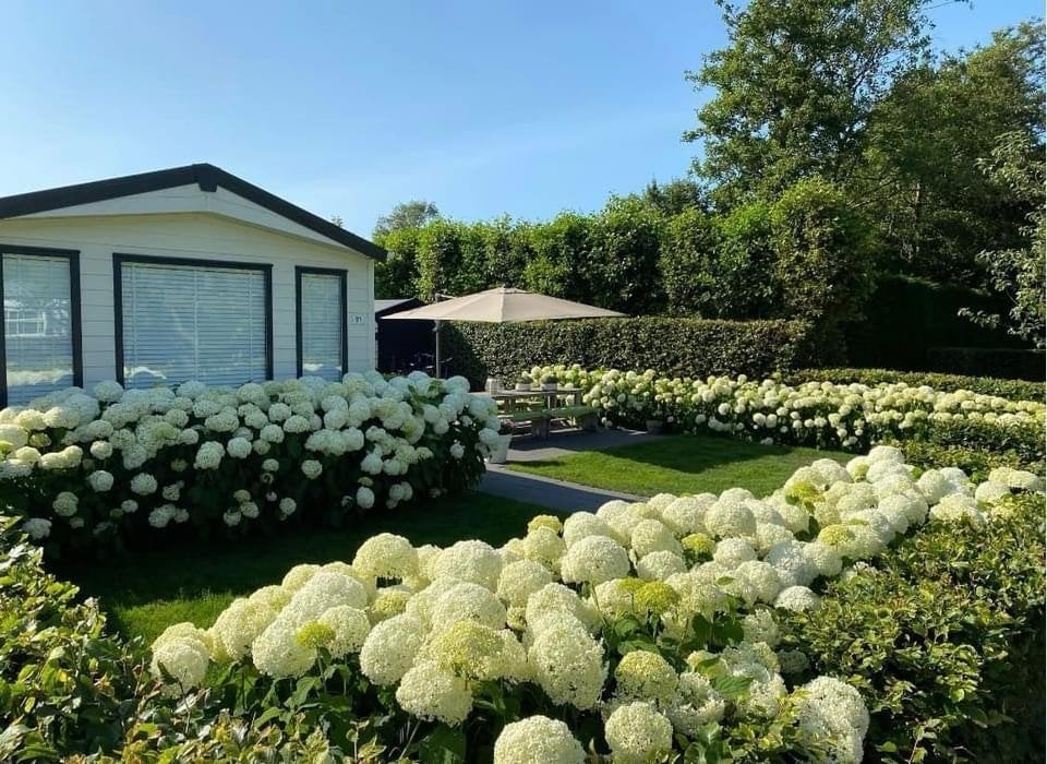 Chalet 6 personen TE KOOP, Capfun de Bongerd, €79.500, Tot en met 6