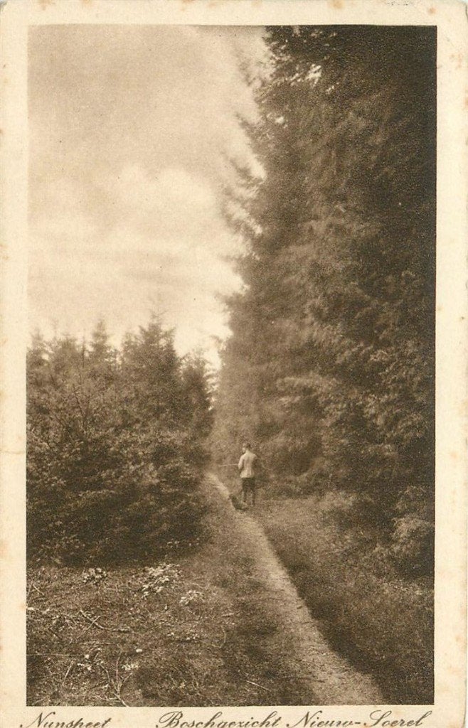 379-185-015 Nunspeet, Ophalen of Verzenden, Voor 1920, Gelderland