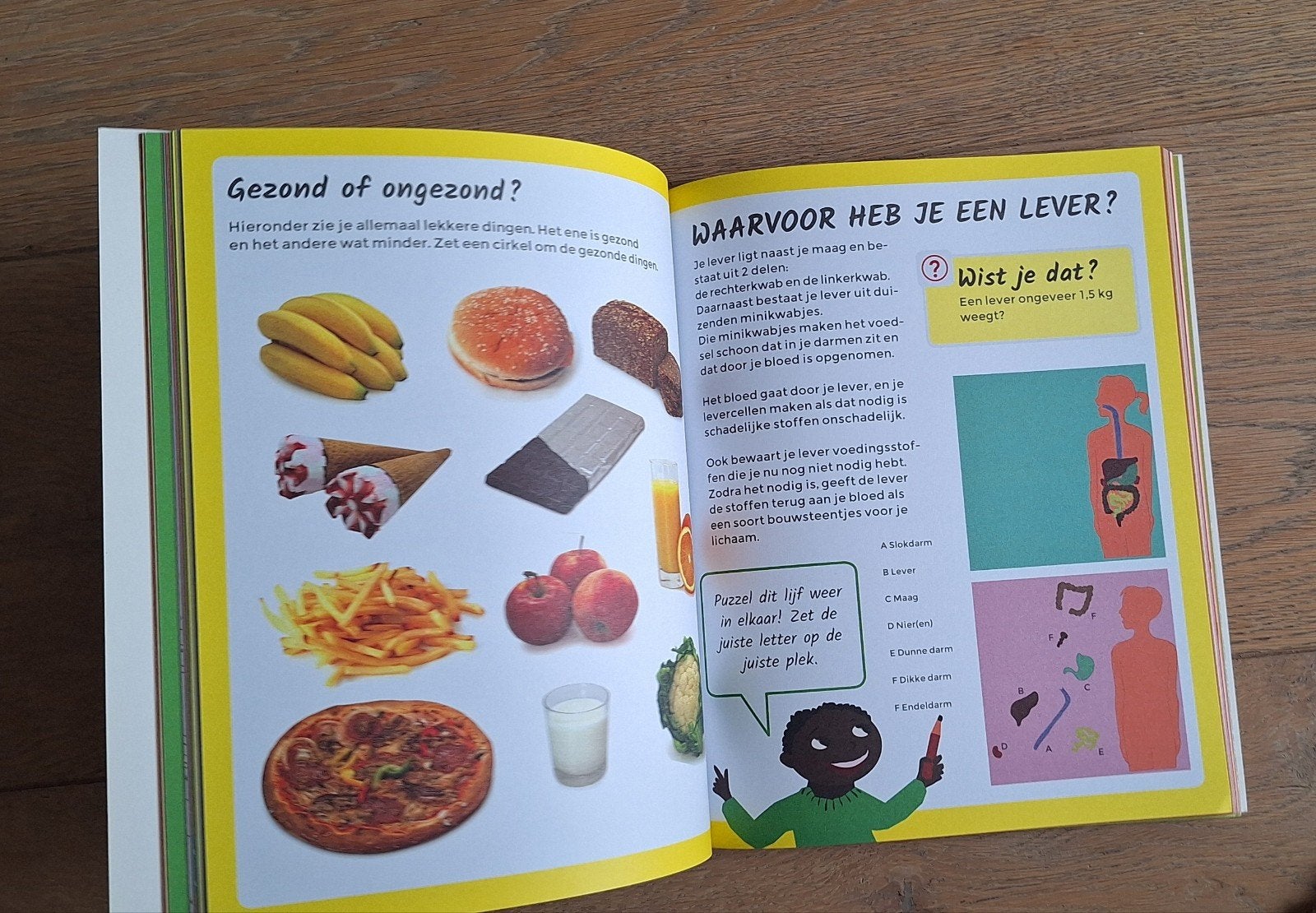 Boek: Hoe werkt je lichaam?, Ophalen of Verzenden, Zo goed als nieuw, Onbekend, Non-fictie