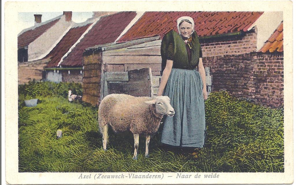 Axel Naar de Weide Boerin met Schaap, Verzenden, Voor 1920, Ongelopen, Zeeland