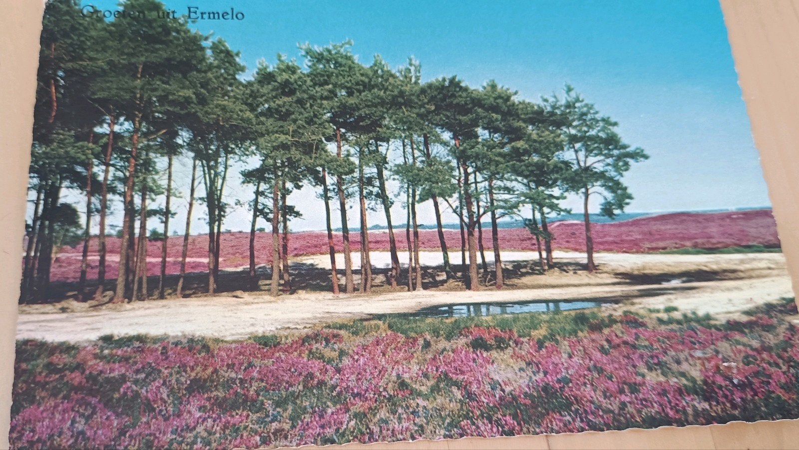 Ermelo. Heide, Ophalen of Verzenden, 1960 tot 1980, Gelopen, Gelderland
