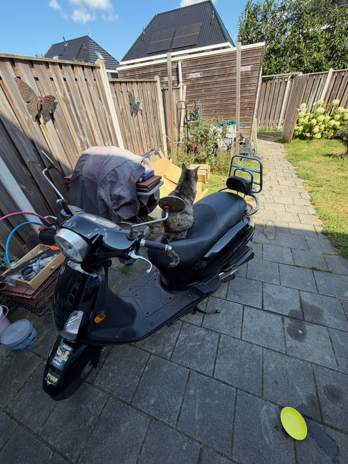 Sym fiddle 2 euro 4, Ophalen, SYM, Benzine