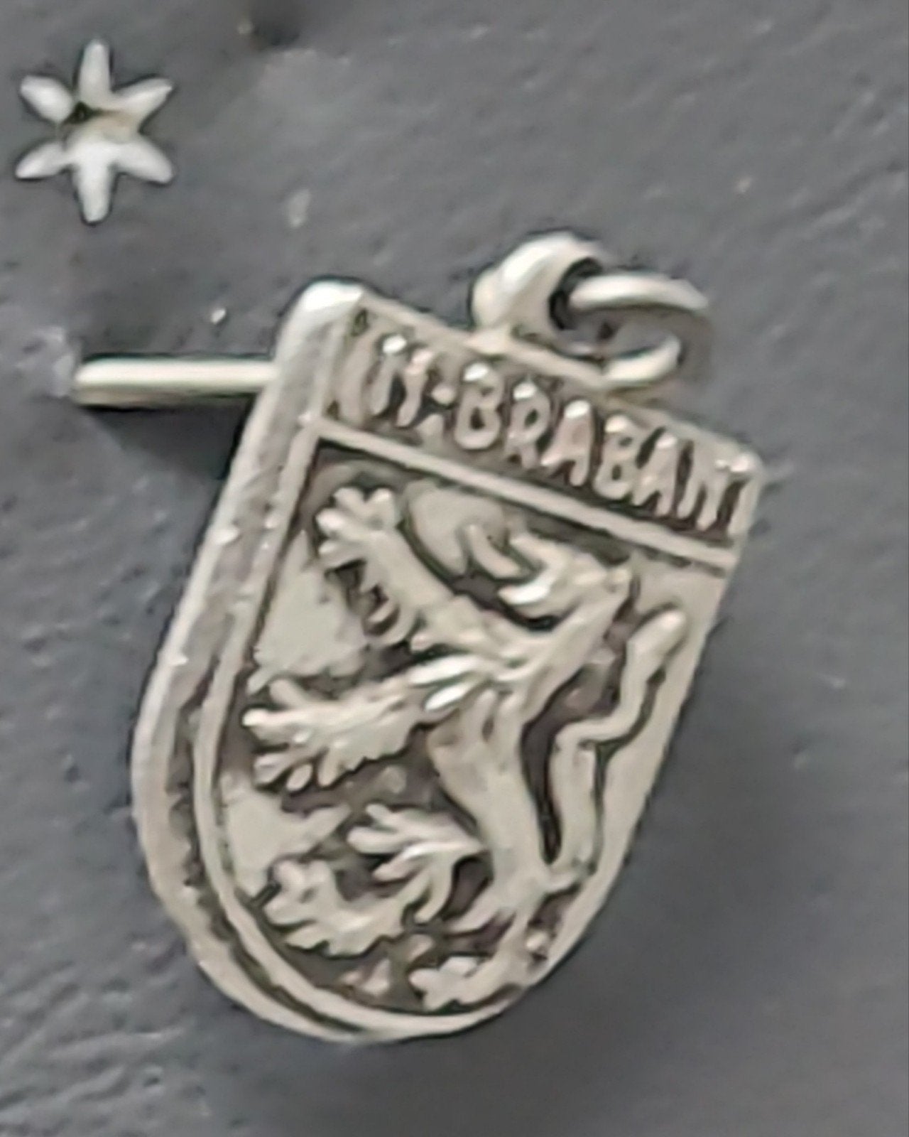 Vintage Speldje Noord-Brabant Leeuw, Verzenden