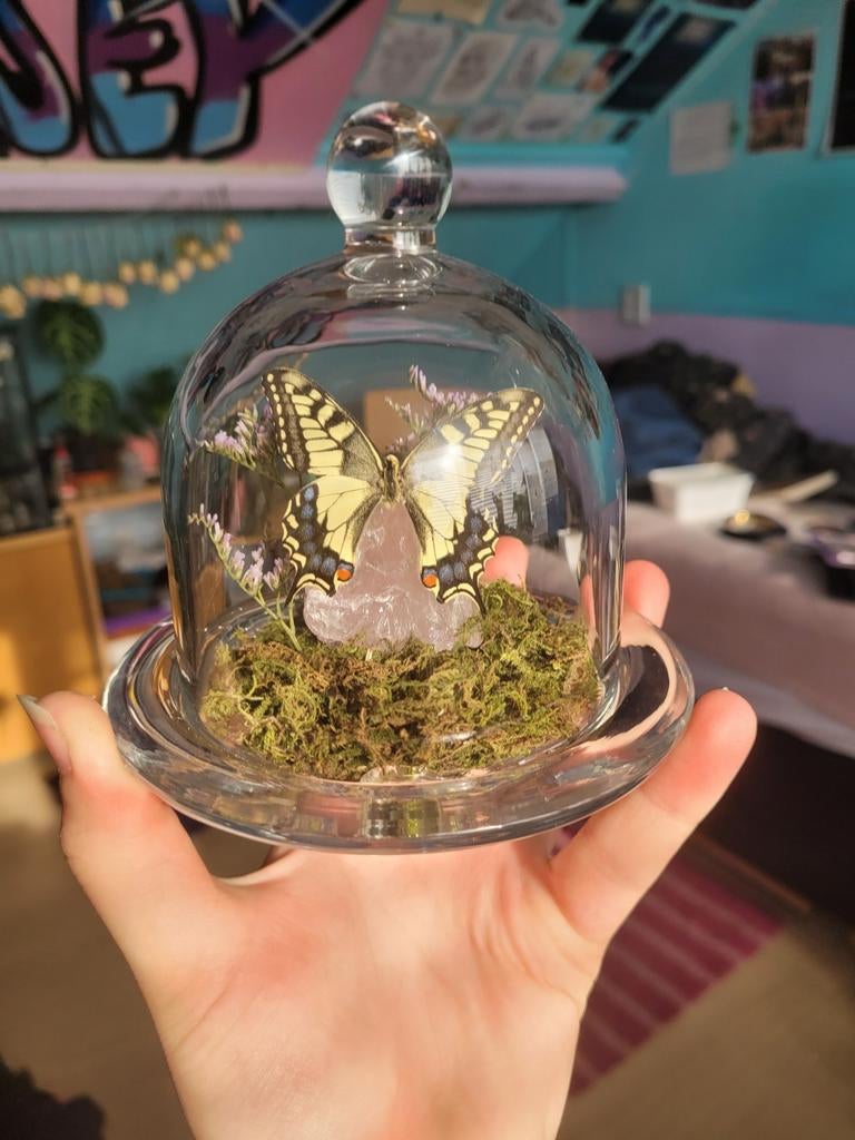 Papilio machaon, koninginnepage in stolpje op rozenquartz, Ophalen of Verzenden, Zo goed als nieuw, Paard, Beeldje of Figuurtje