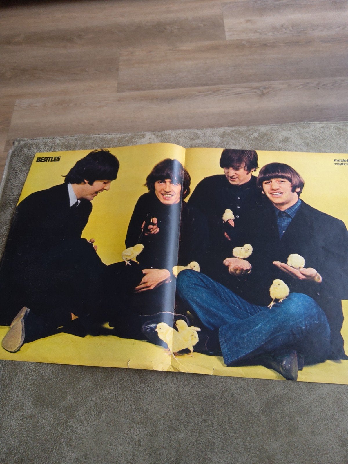 The Beatles:  muziek expres poster, Ophalen of Verzenden, Muziek