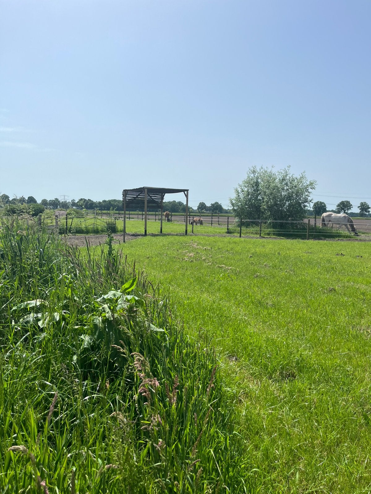 Pensionplek ouder paard, paardenrusthuis, Paddock Paradise, Stalling