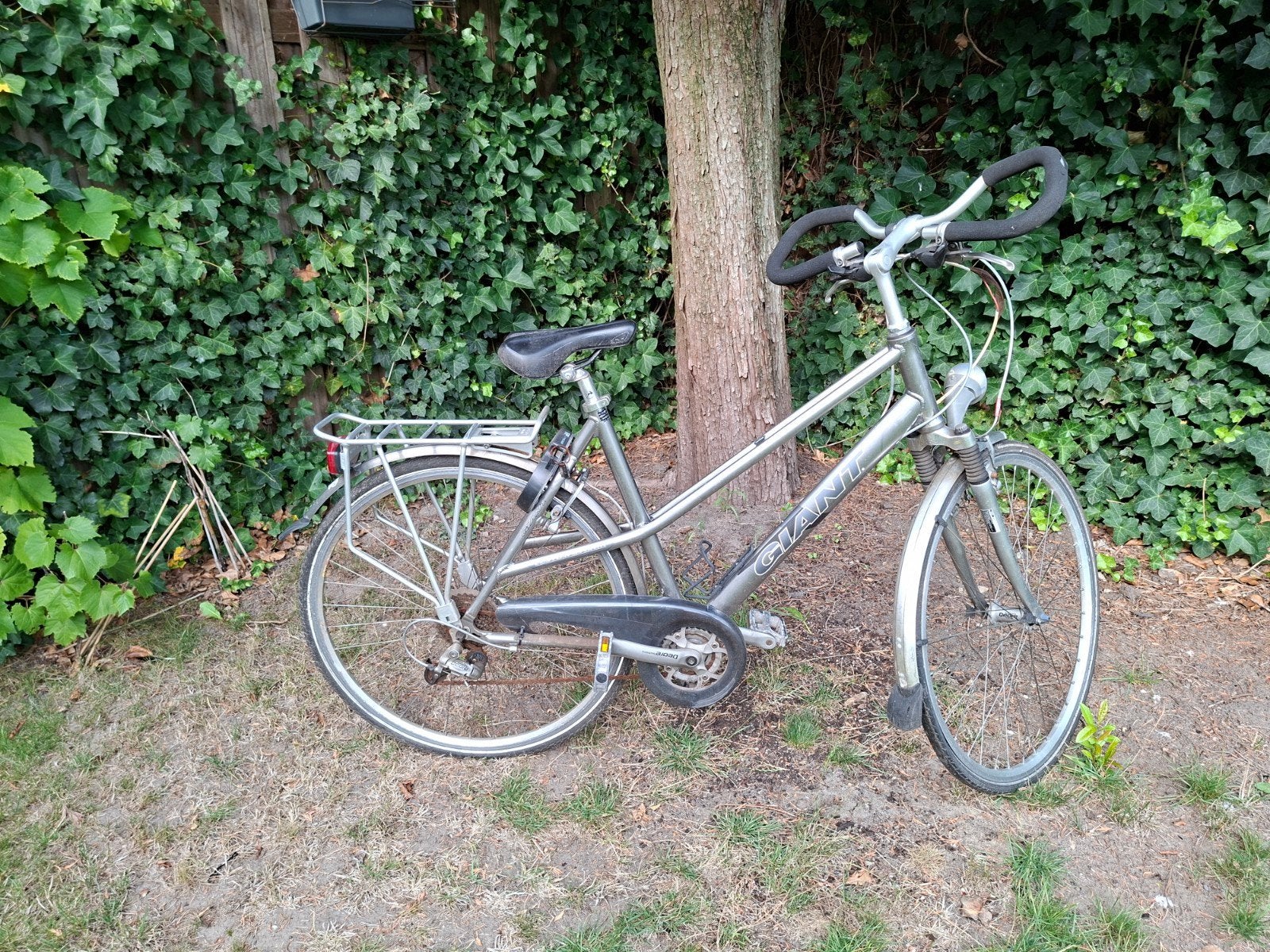 giant custom superlite damesfiets tourfiets opknapper

fiet, Ophalen, 28 inch, Gebruikt, Velgrem