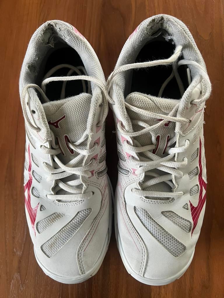 Korfbalschoenen. Maat 41., Sport en Fitness, Ophalen, Gebruikt, Schoenen