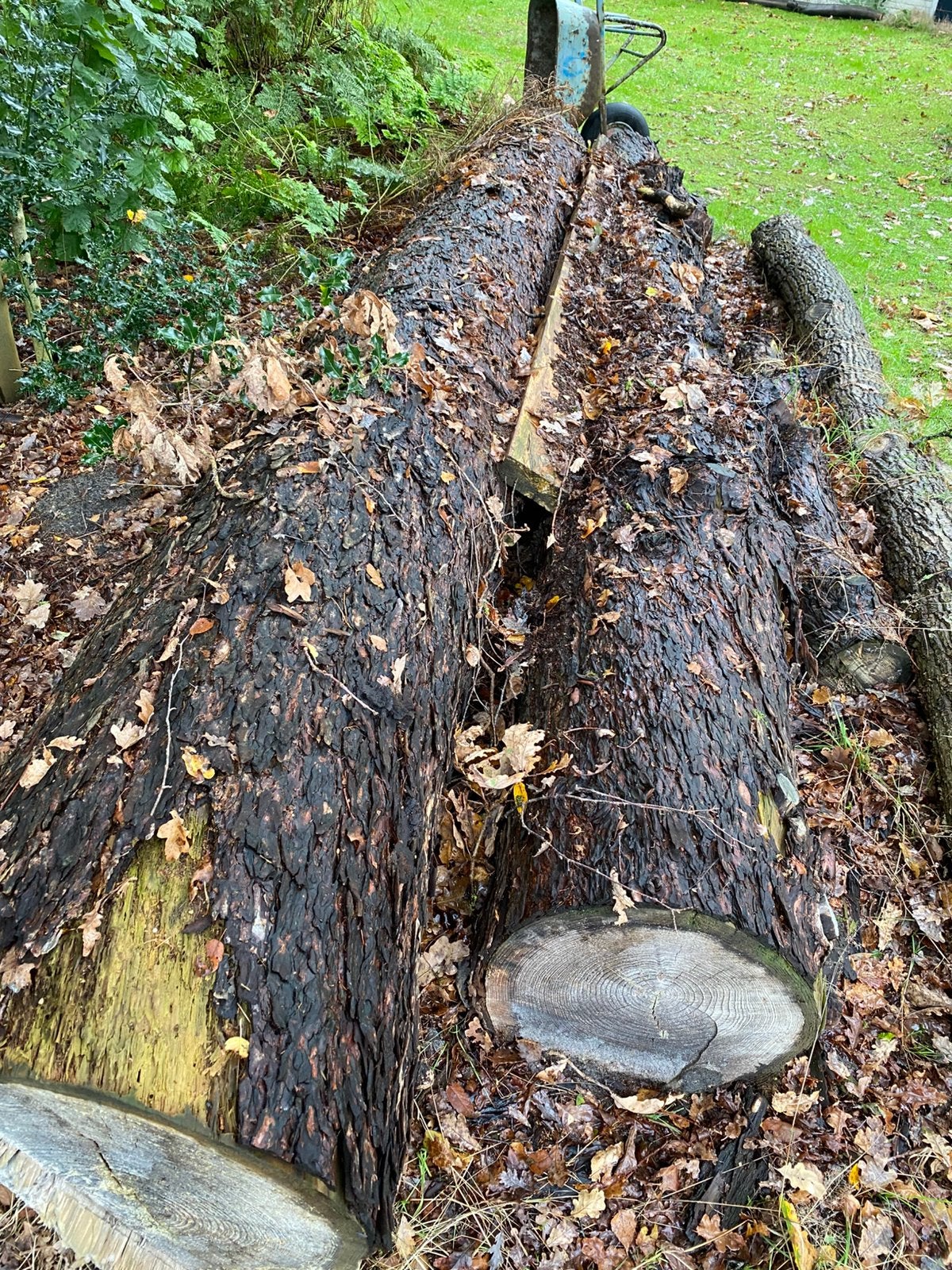 Lariks boomstam/rondhout, Minder dan 3 m³, Ophalen, Overige houtsoorten, Stammen