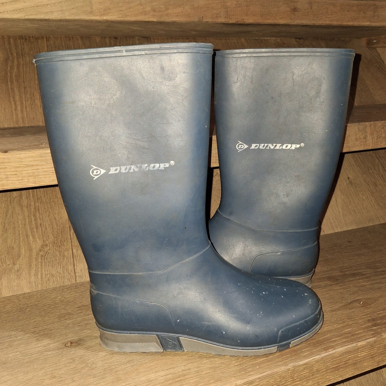 Regenlaarzen Dunlop maat 34 laarzen buitenkleding gebruikt, Gebruikt, Jongen of Meisje, Ophalen of Verzenden, Laarzen