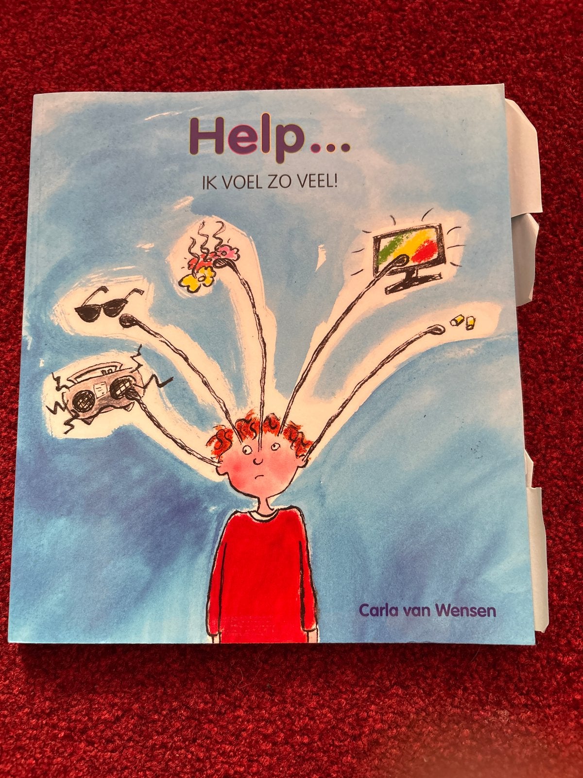 Help... Ik voel zo veel! - Carla van Wensen, Boeken, Verzenden, Zo goed als nieuw, 3 tot 4 jaar
