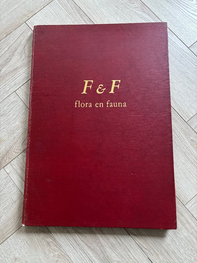 Vintage boek 'Flora & Fauna' - J. Boonstra., Boeken, Natuur, Ophalen of Verzenden, Zo goed als nieuw, Bloemen, Planten en Bomen