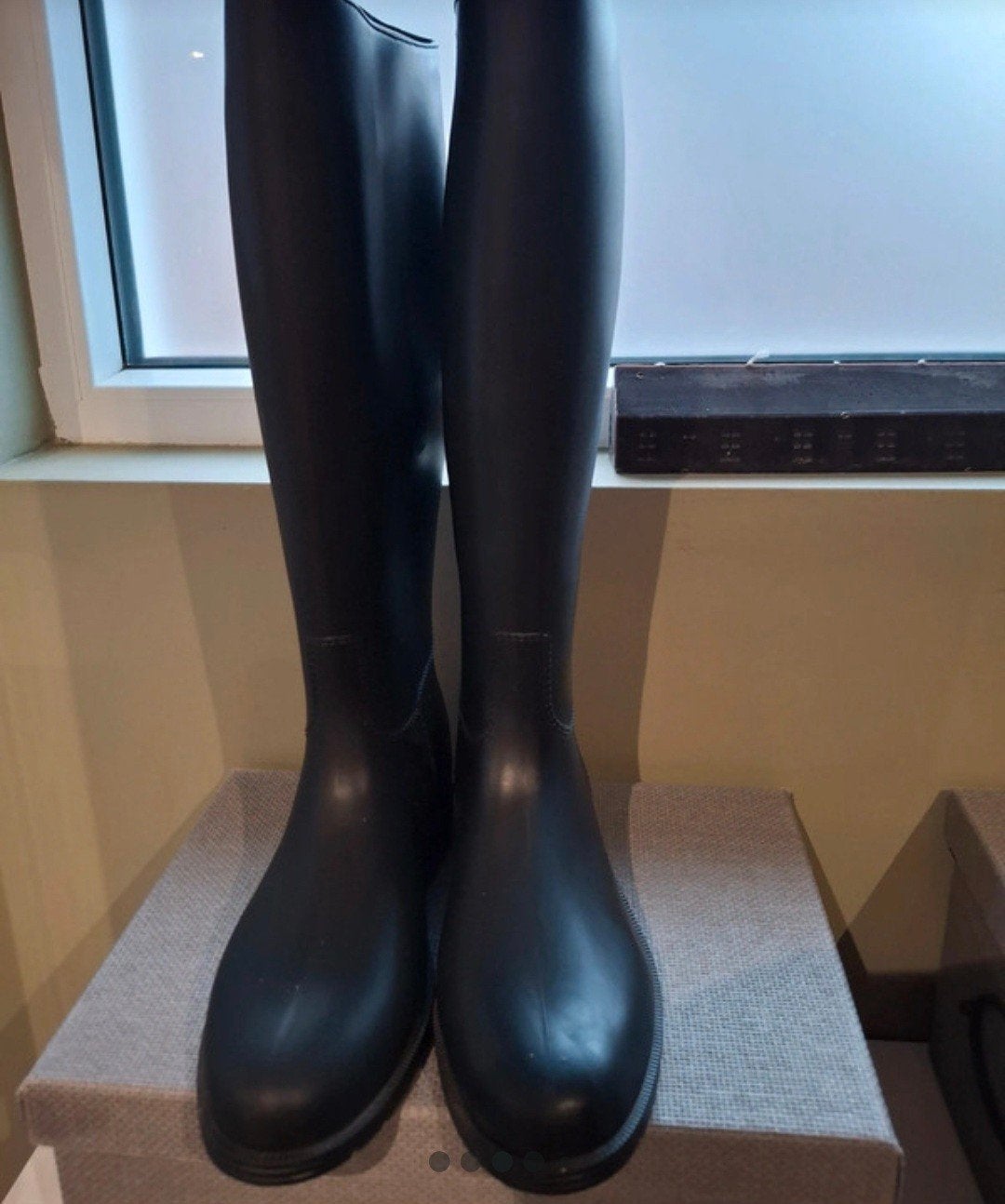 Paardrijlaarzen 39, Dieren en Toebehoren, Paardrijkleding, Ophalen of Verzenden, Zo goed als nieuw, Dames, Schoeisel