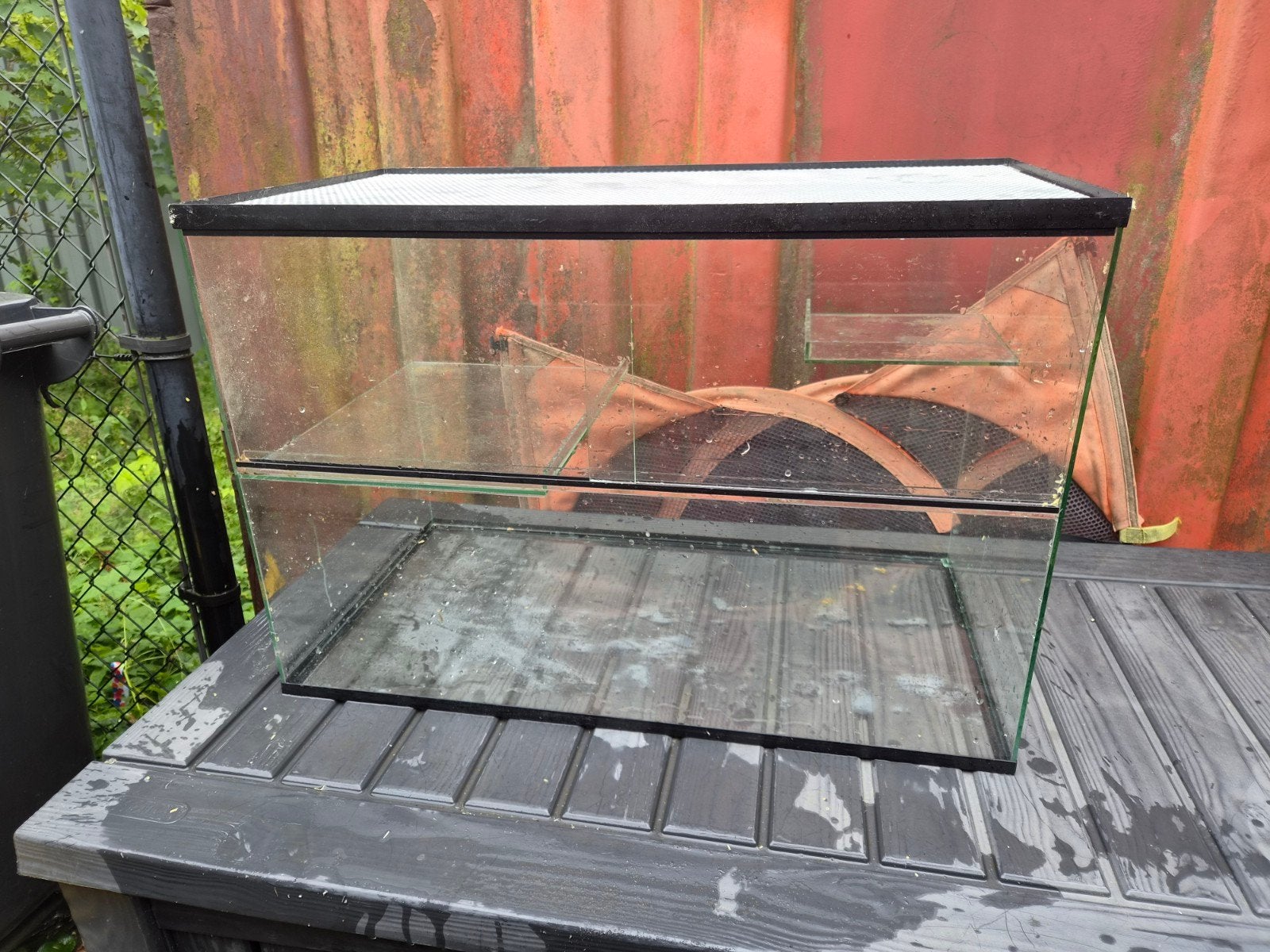 Queenies glazen kooi, Dieren en Toebehoren, Knaagdieren en Konijnen | Hokken en Kooien, Kooi, Gebruikt, Minder dan 75 cm, Muis
