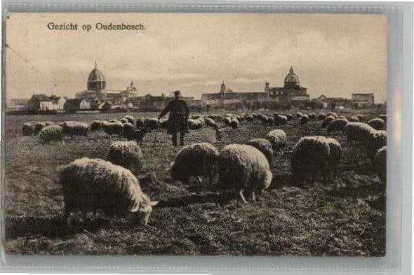 Oudenbosch Gezicht Basiliek schaapskudde militair st 1916, Ophalen of Verzenden, Voor 1920, Gelopen, Noord-Brabant