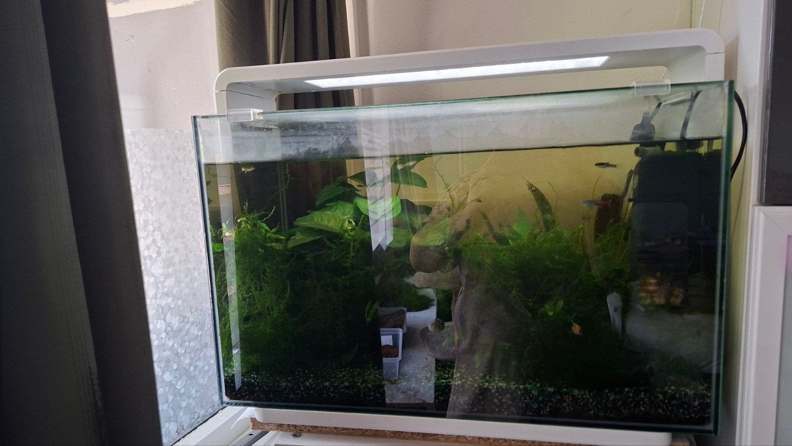 compleet  aquarium  led, Dieren en Toebehoren, Ophalen, Gebruikt, Gevuld zoetwateraquarium, Superfish