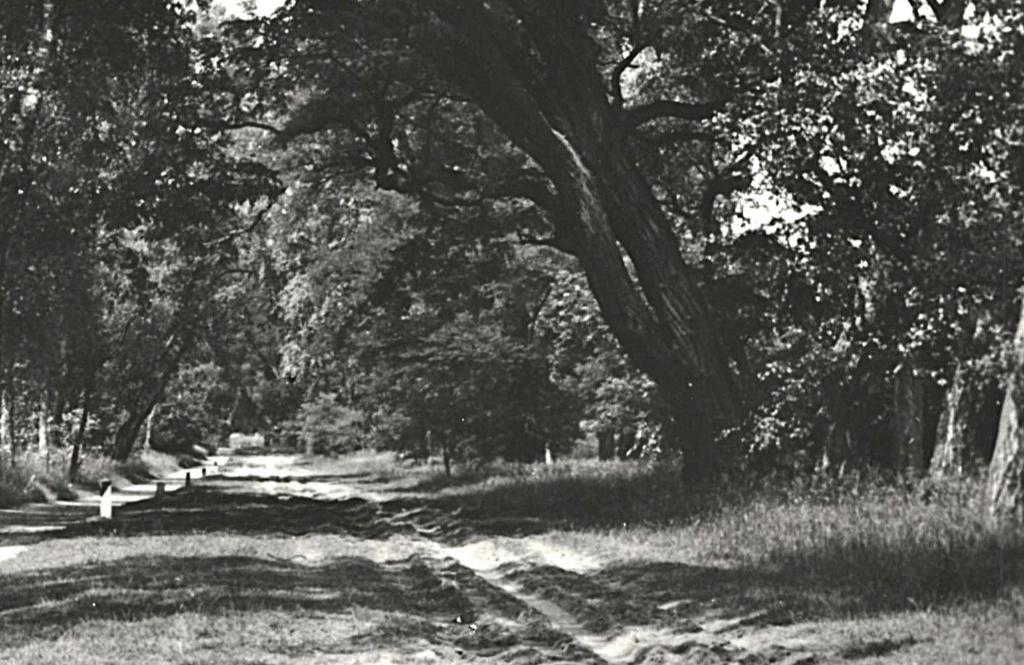 948518 Laag Keppel Hessenweg 1964 Gelopen met postzegel, Ophalen of Verzenden, 1960 tot 1980, Gelopen, Gelderland