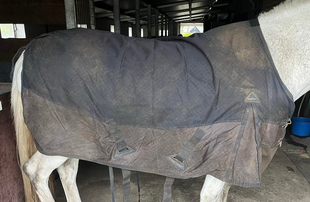 100/150 grams deken maat 175, Dieren en Toebehoren, Paarden en Pony's | Dekens en Dekjes, Ophalen of Verzenden, Gebruikt