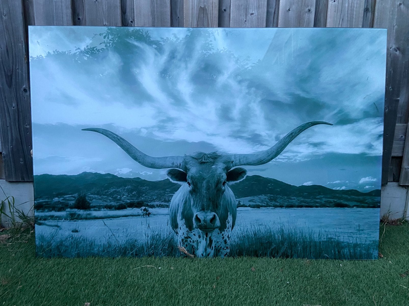 Wanddecoratie glas Texas Longhorn stier, Ophalen, Zo goed als nieuw, Schilderij, 100 tot 125 cm