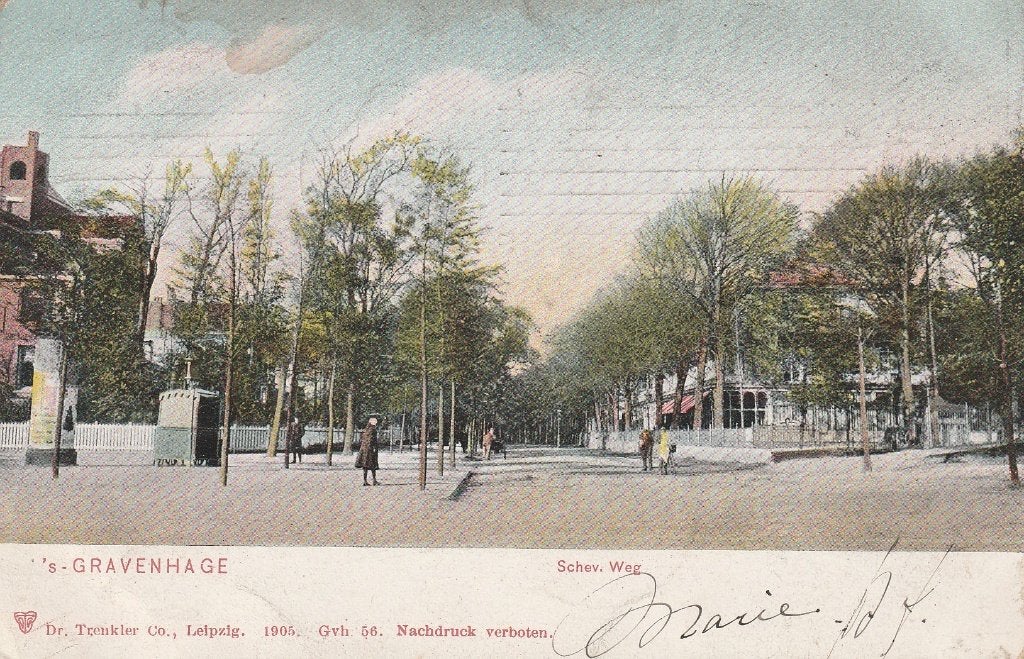Den Haag, Ophalen of Verzenden, Voor 1920, Gelopen, Zuid-Holland