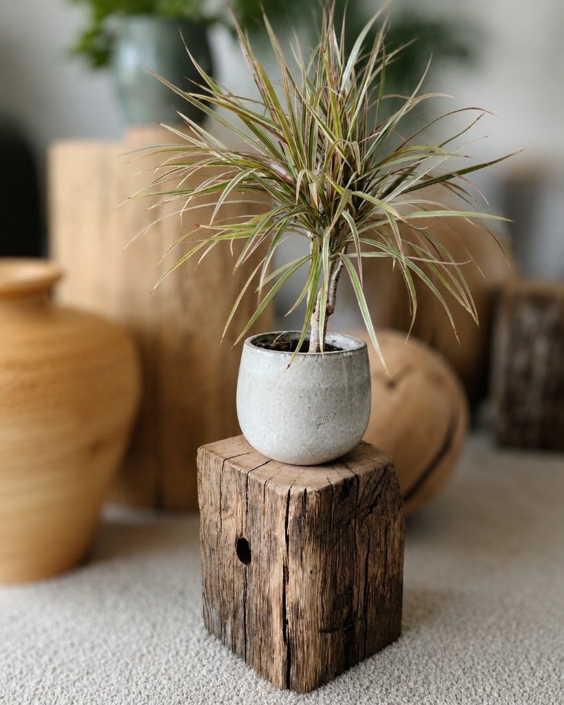 Houten blok - zuil oud eiken boerderijhout H24cm #EB03, Houtatelier M.Y., Info@myhoutatelier.nl, Nieuw, Ophalen of Verzenden