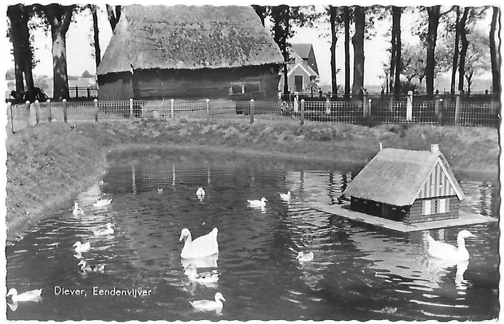 Diever Eendenvijver oude gelopen Ansichtkaart ( A2162 ), Ophalen of Verzenden, 1960 tot 1980, Gelopen