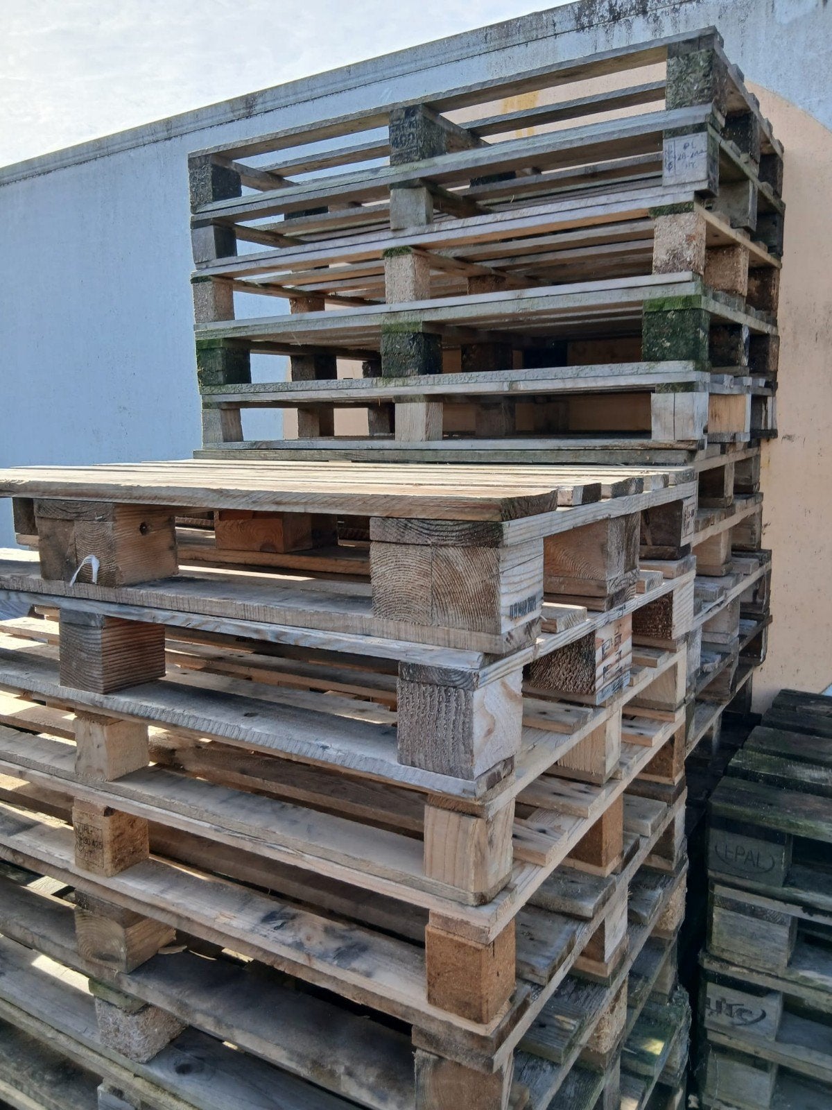 houten wegwerppallets met hetzelfde formaat als europallets, Ophalen, Overige houtsoorten, Minder dan 200 cm, Pallet
