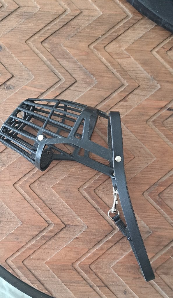 Muilkorf Medium Border collie / Spaniel, Ophalen, Zo goed als nieuw, Hondenriem-accessoire