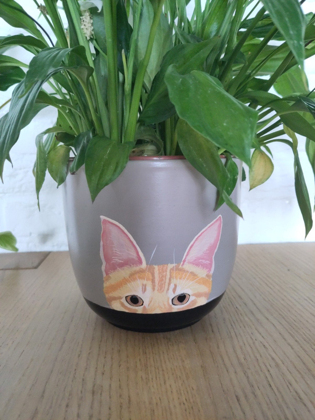 Bloempot peaking cat, Tuin en Terras, Ophalen, Rond, Aardewerk, Minder dan 40 cm