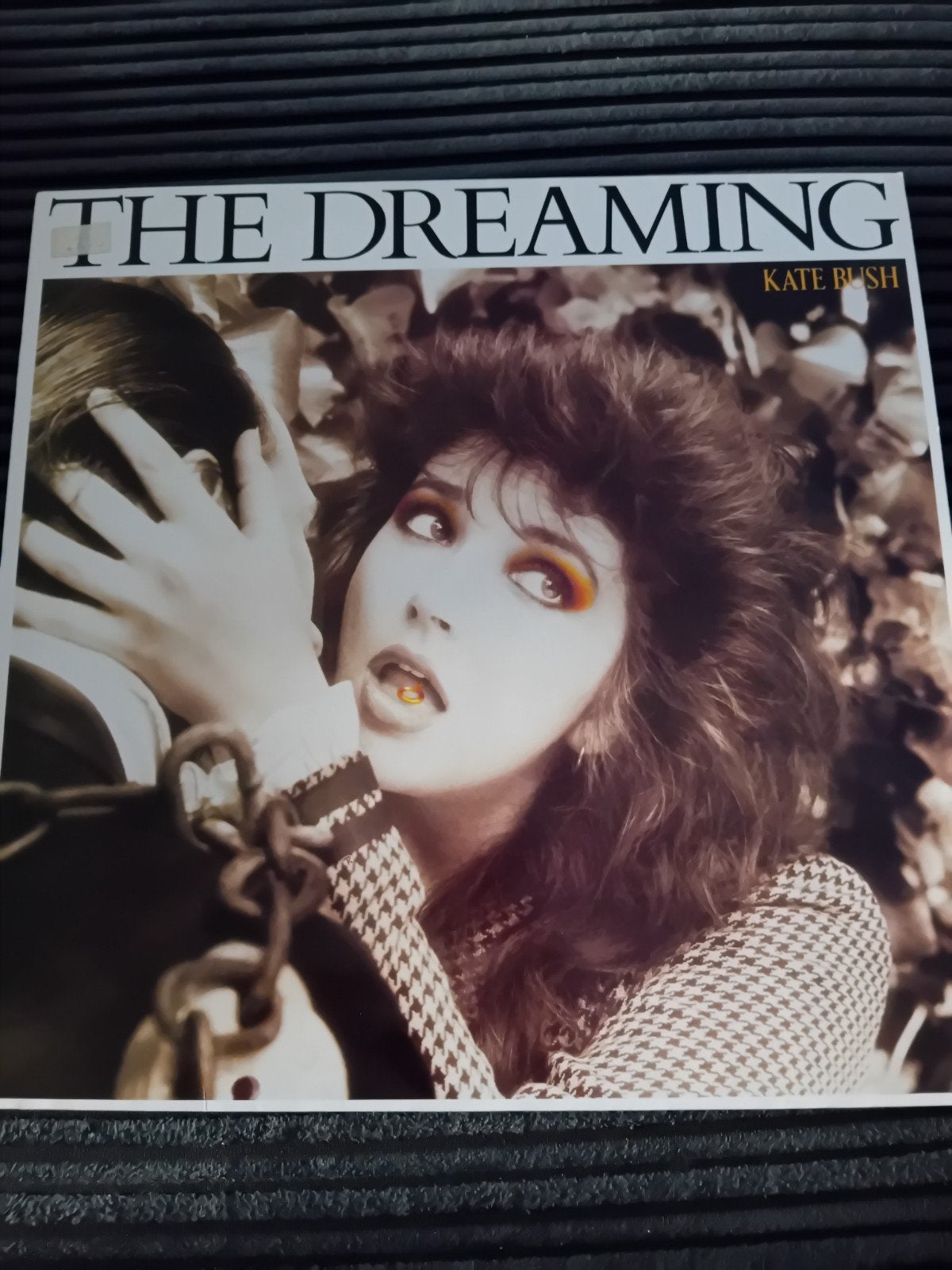 Kate Bush The Dreaming elpee, Ophalen of Verzenden, Gebruikt, LP