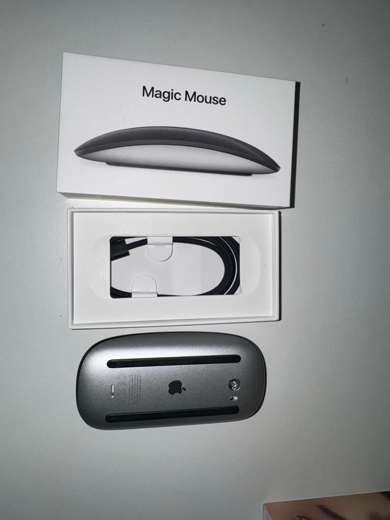 Apple Magic Mouse 2, Computers en Software, Muizen, Verzenden, Gebruikt, Draadloos, Muis