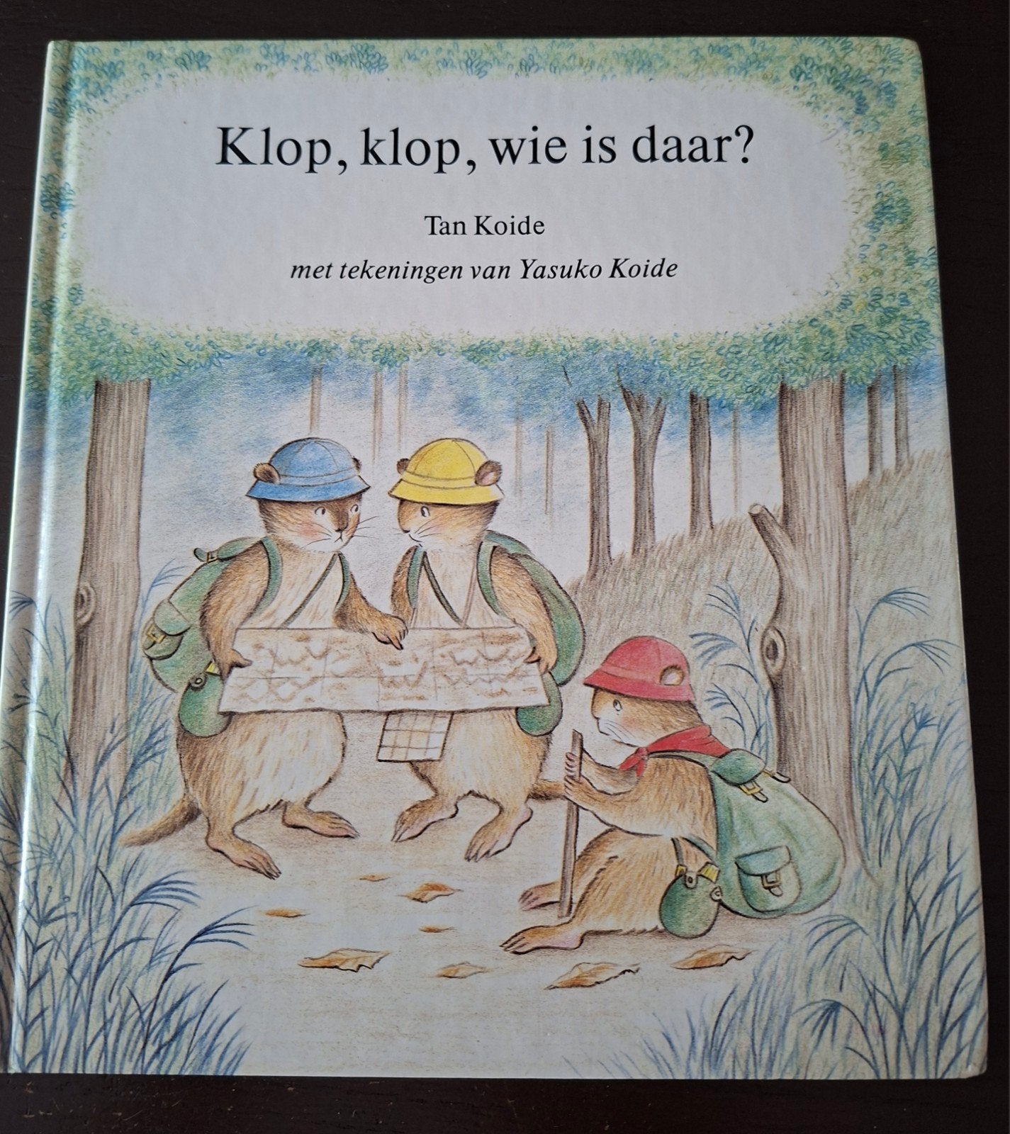 Klop, klop, wie is daar?, Jongen of Meisje, Ophalen of Verzenden, Zo goed als nieuw, Voorleesboek