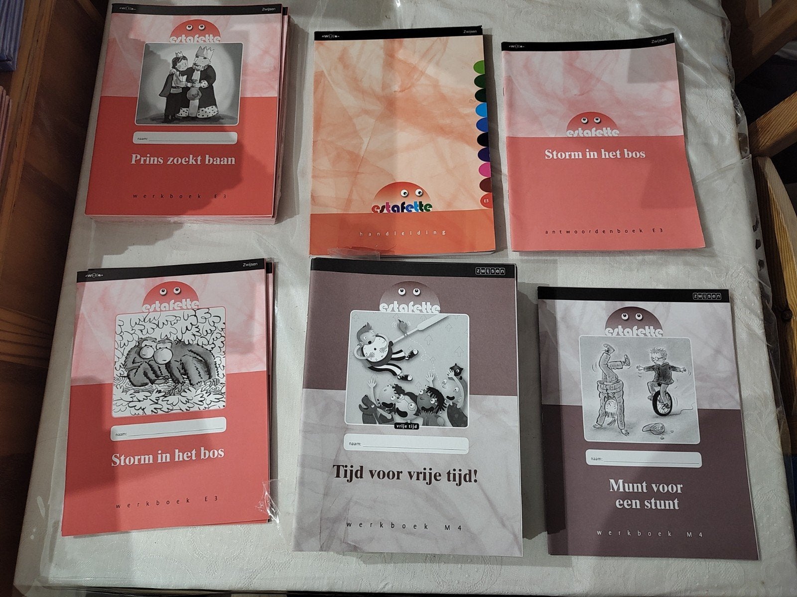 Estafette Werkboekjes E3/M4 & Docentenmateriaal - Nieuw, Boeken, Ophalen of Verzenden, Nieuw, Overige niveaus