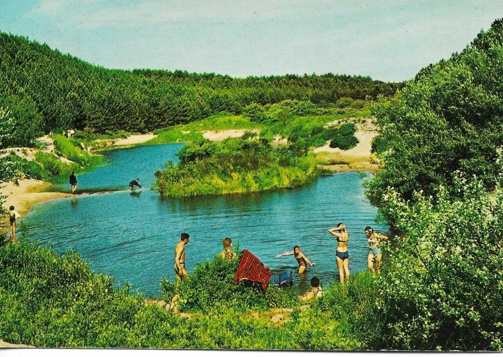 Zeeland- -Meertje in de Domaniale Bossen., Ophalen of Verzenden, 1960 tot 1980, Gelopen, Zeeland