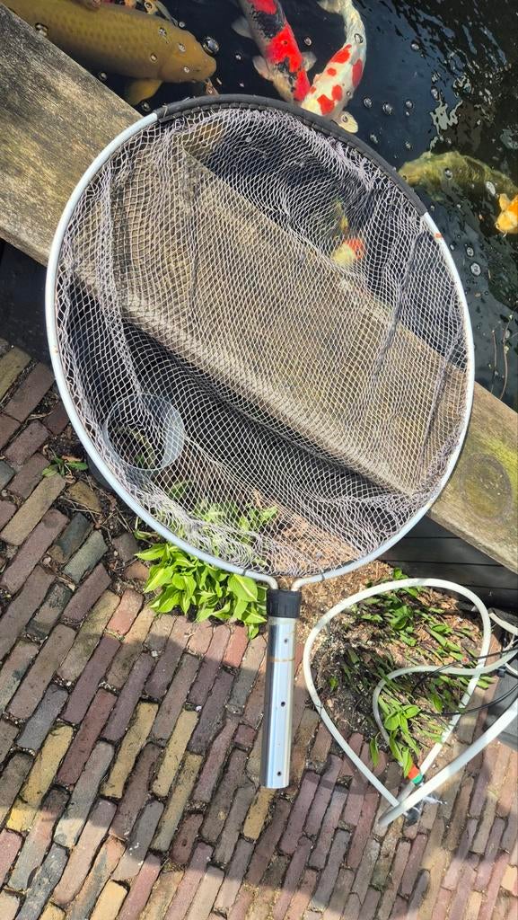 Profecioneel Koi net 80cm, Dieren en Toebehoren, Vissen | Vijvervissen, Karper of Koi