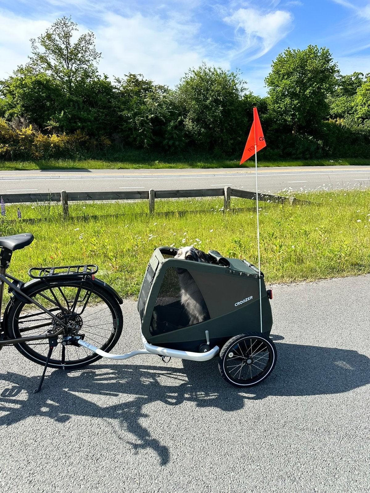 Hondenfietskar Croozer, Dieren en Toebehoren, Ophalen, Zo goed als nieuw, Hondenfietskar
