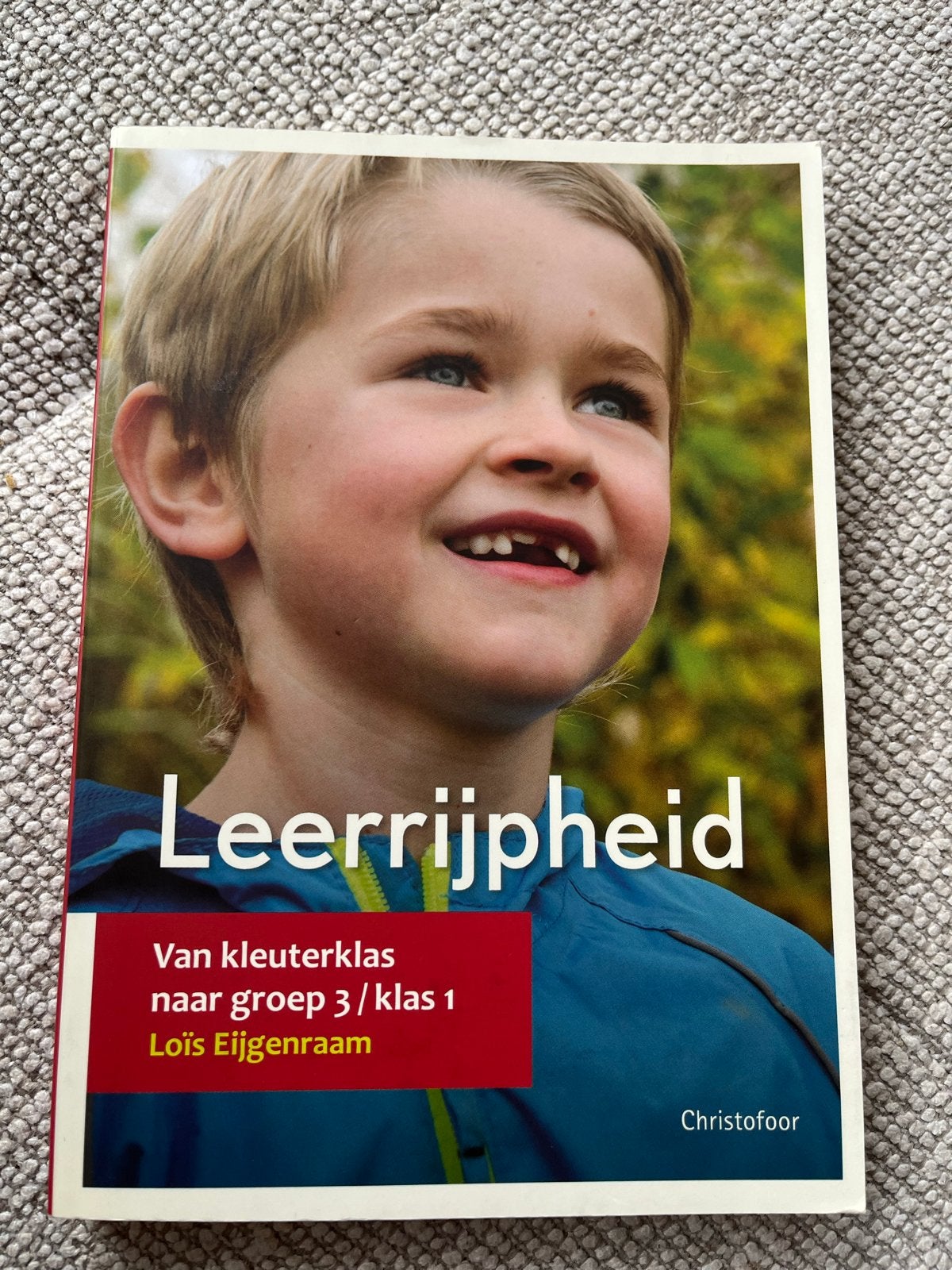 Leerrijpheid: Van kleuterklas naar groep 3 / klas 1, Boeken, Ophalen of Verzenden, Gamma, Zo goed als nieuw, Overige niveaus