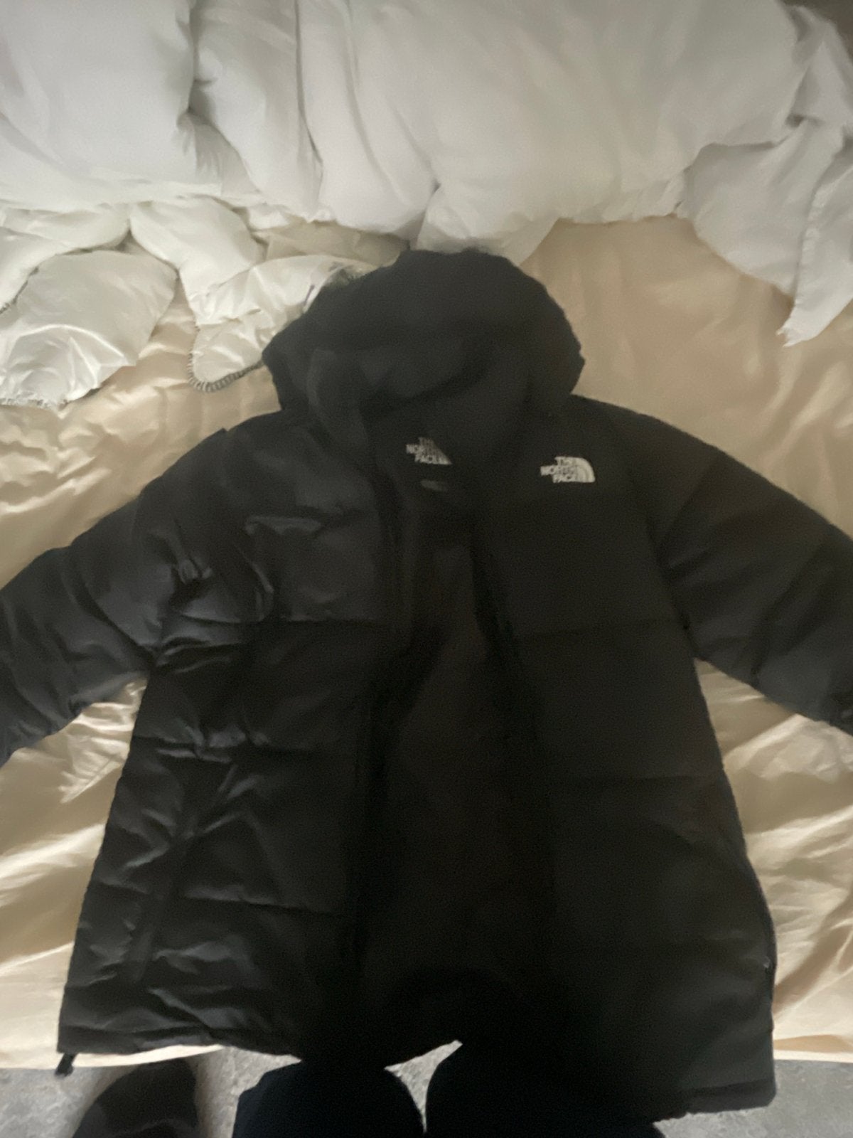 The North Face Jas Zwart, Ophalen, Zo goed als nieuw, Maat 48/50 (M), Zwart