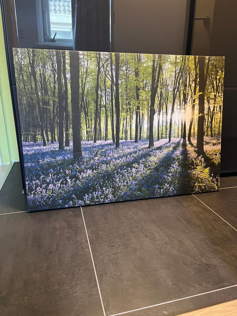 Schilderij bos zon en lavendel, 50 tot 75 cm, Ophalen of Verzenden, Zo goed als nieuw, Schilderij