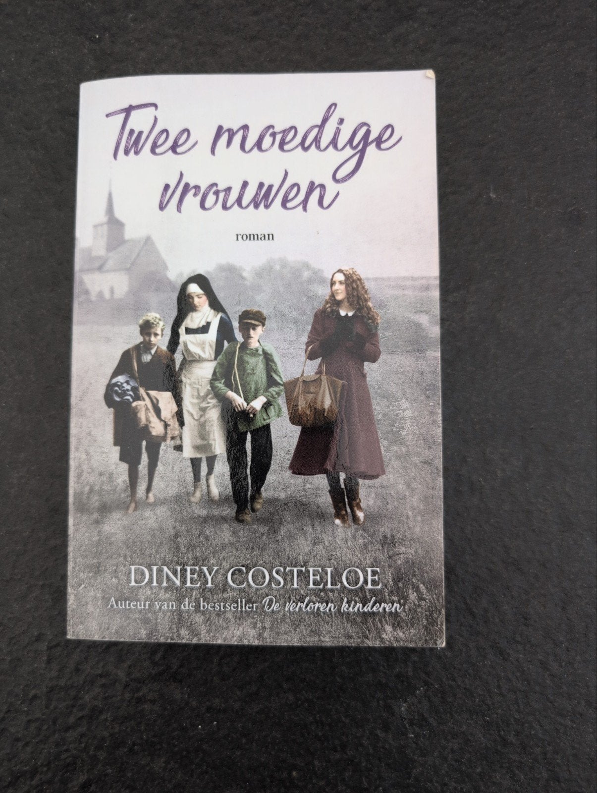 Twee moedige vrouwen - Diney Costeloe (Roman), Boeken, Ophalen of Verzenden, Zo goed als nieuw, Diney Costeloe